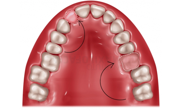 最初にお伝えしたいこと